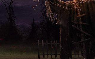 Halloween Scarecrow halloween holiday halloween