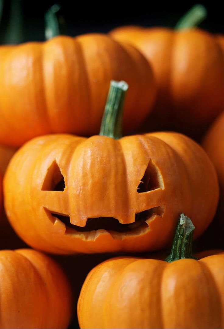 Halloween lantern pumpkin