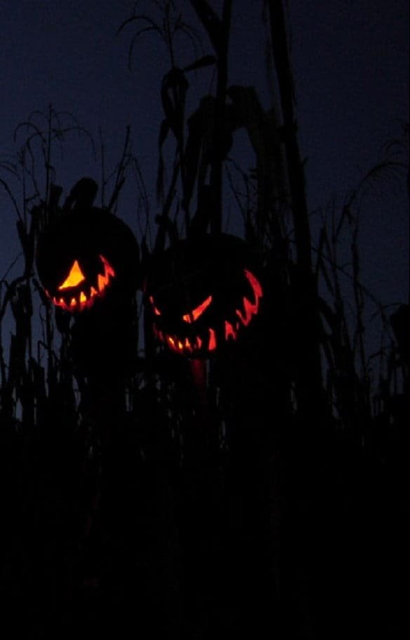 Halloween smiles black eyes pumpkins jack o lanterns
