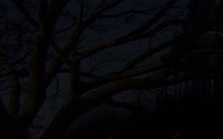 Halloween wallpapers pumpkin jack o lantern moon haunted 3d and abstract