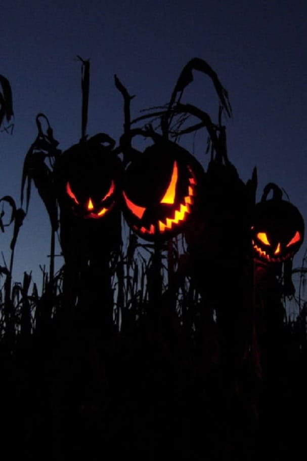 Halloween wallpapers smiles black eyes pumpkins jack o lanterns