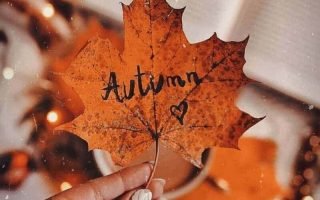 IPHONE WALLPAPER FALL