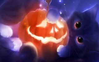 Kitty Playing with a Pumpkin Holidays Halloween Beautiful cute cat