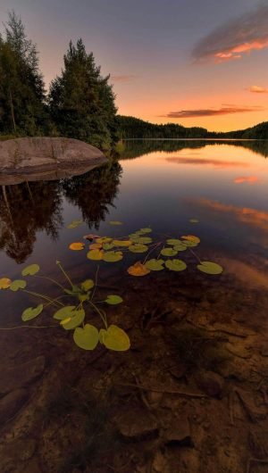 Lake Reflection Nature Sunset Wallpaper for iPhone