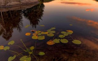Lake Reflection Nature Sunset Wallpaper for iPhone
