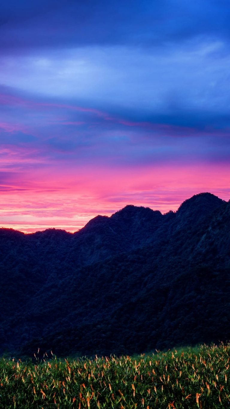 Mountains Sunset Flowers Wallpaper 1080x1920 1