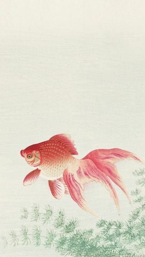 Ohara Koson mobile wallpaper phone background Two veil goldfish Japanese print