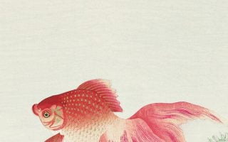 Ohara Koson mobile wallpaper phone background Two veil goldfish Japanese print