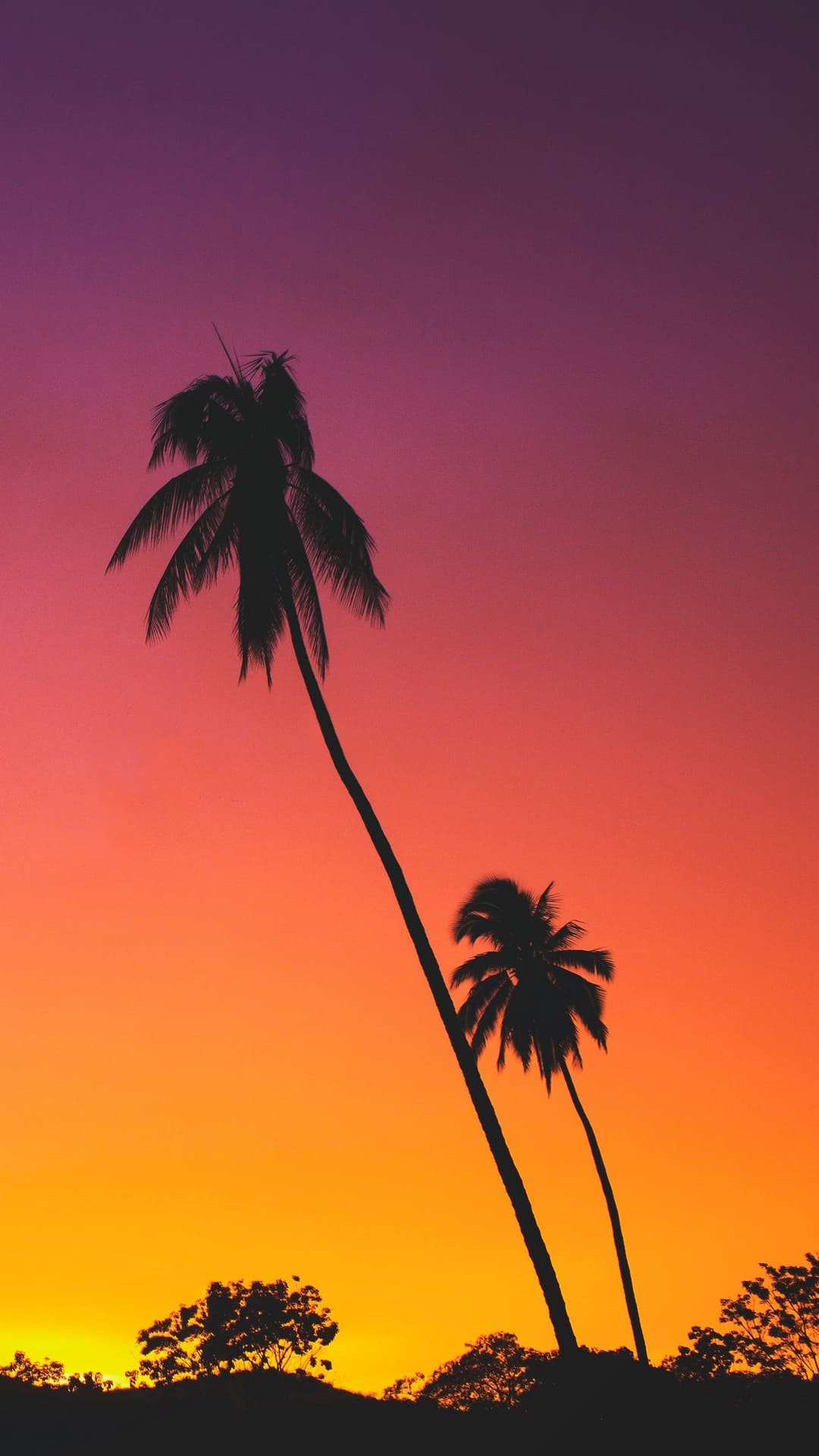 Palms Sunset Silhouettes Wallpaper 1080x1920 1