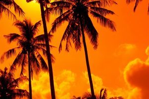 Red Warm Sky Wallpaper 300x585 1