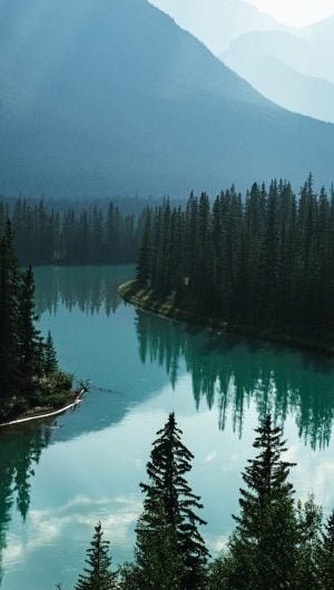 River and Trees Wallpaper 300x585 1