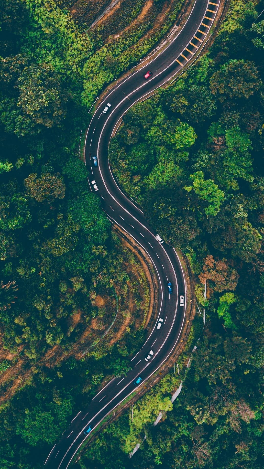 Road View From Above Trees Wallpaper 1080x1920 1