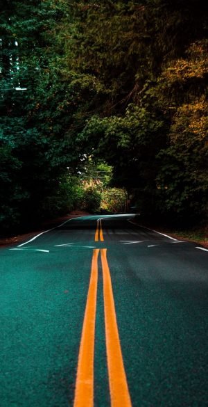 Road way nature Wallpaper 300x585 1