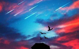 Sky Sunset Watching