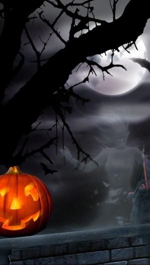 Spooky House Bats Pumpkin Full Moon Hallowmas halloween wallpapers 1