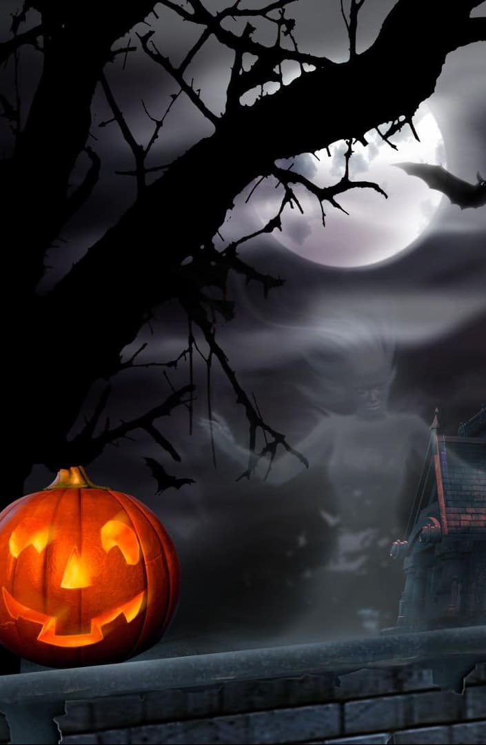 Spooky House Bats Pumpkin Full Moon Hallowmas halloween wallpapers 1