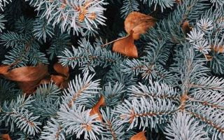The Perfect Set Of Wallpapers For Your New iPhone 13 pro