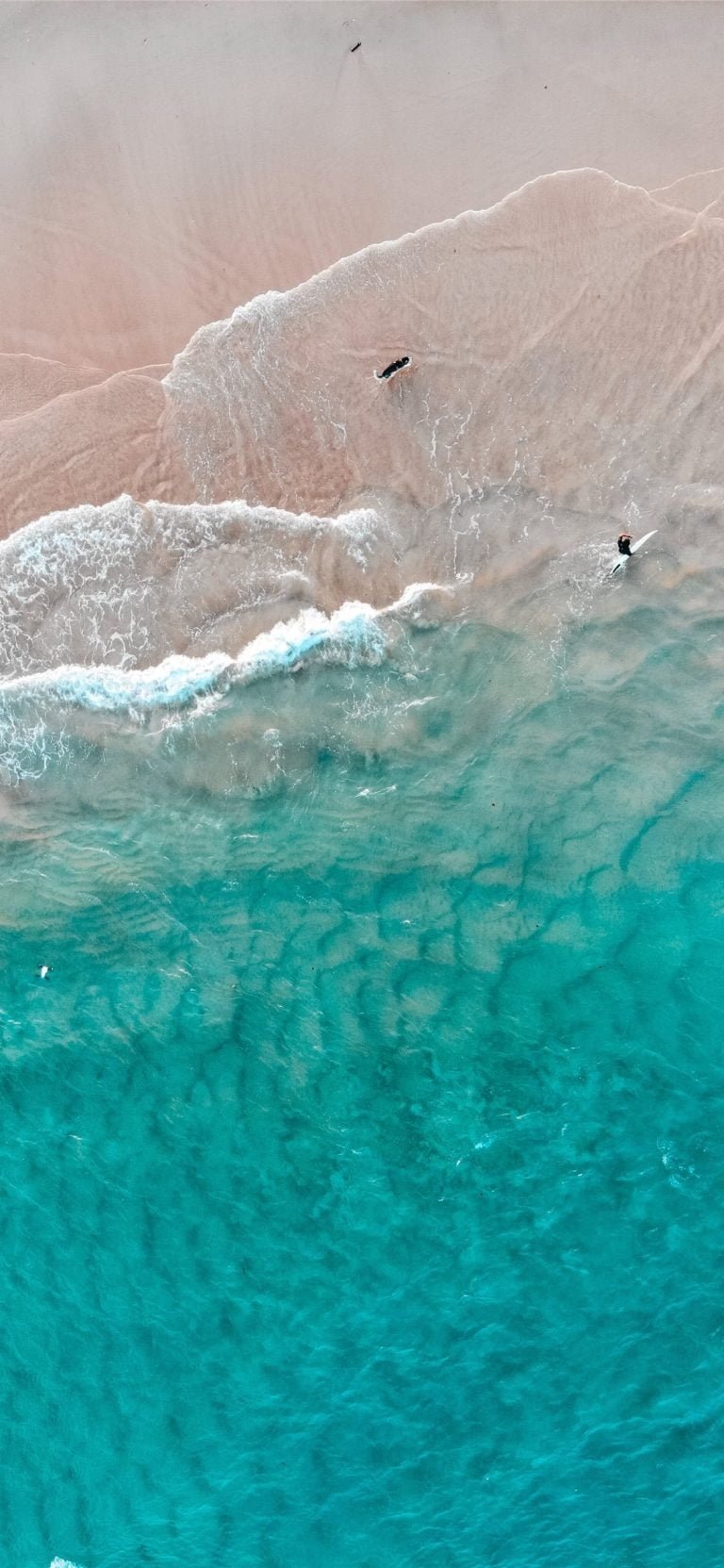 The dogE28099s dream iphone 11 wallpaper