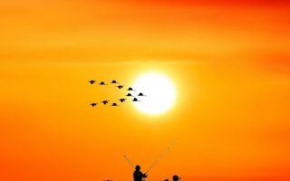Vector Sunset Sea Wallpaper 004