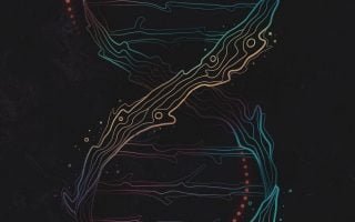 Vector Wallpaper 4k FOR IPHONE 13 10