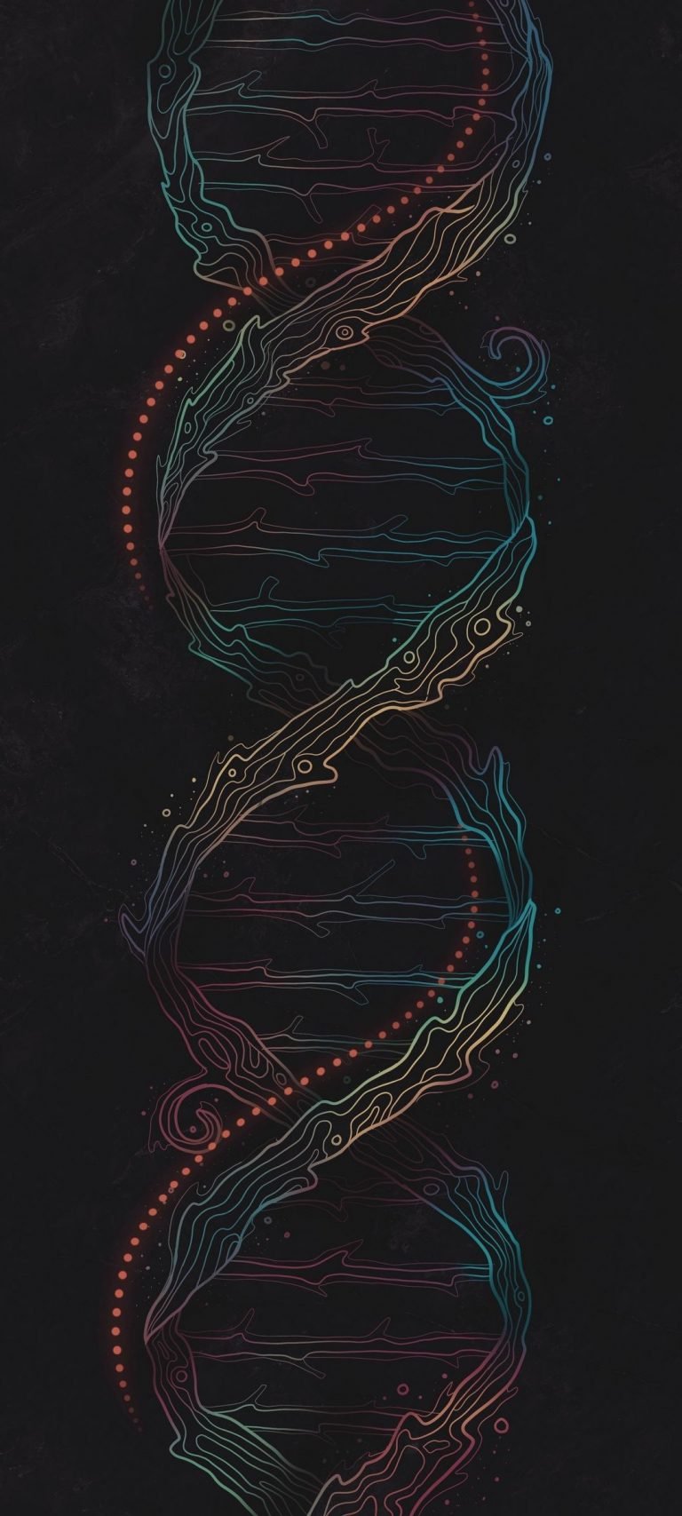 Vector Wallpaper 4k FOR IPHONE 13 10