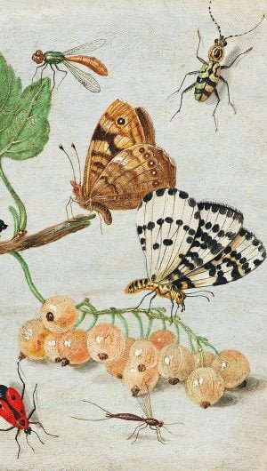 Vintage mobile wallpaper iPhone background Insects and Fruits remix from the artwork of Jan van Kessel