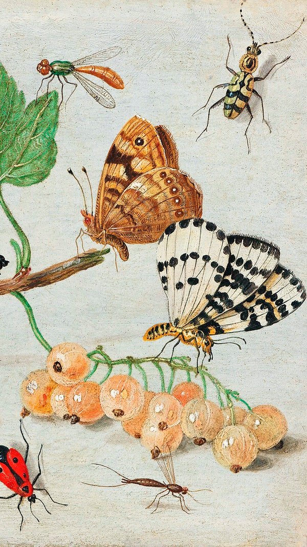 Vintage mobile wallpaper iPhone background Insects and Fruits remix from the artwork of Jan van Kessel