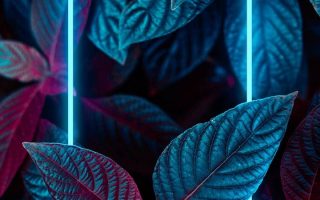 Wallpapers for iPhone 13 Pro 13 Pro Max and iPhone 13 mini