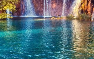 Waterfall Trees Wallpaper