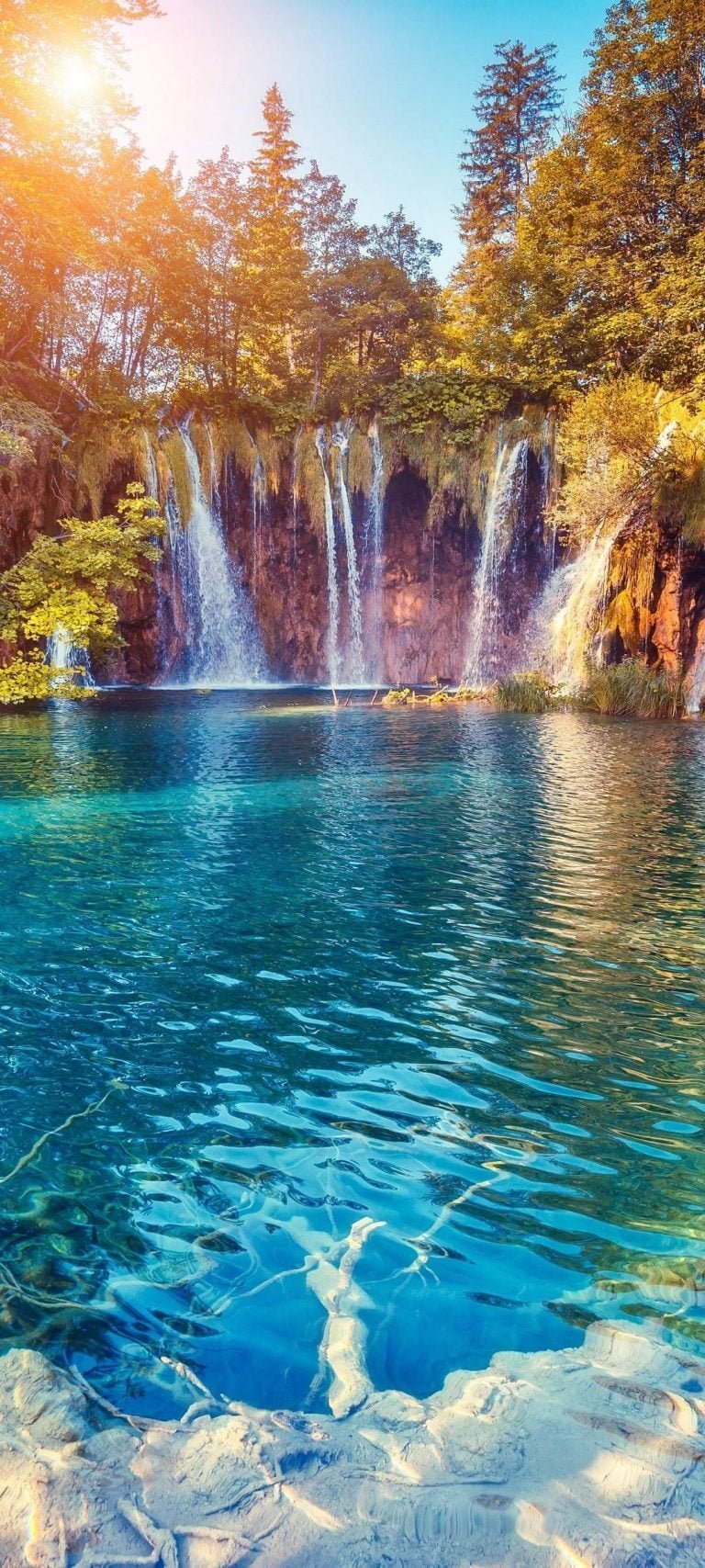 Waterfall Trees Wallpaper