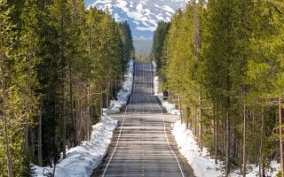 Winter Road Trees Wallpaper