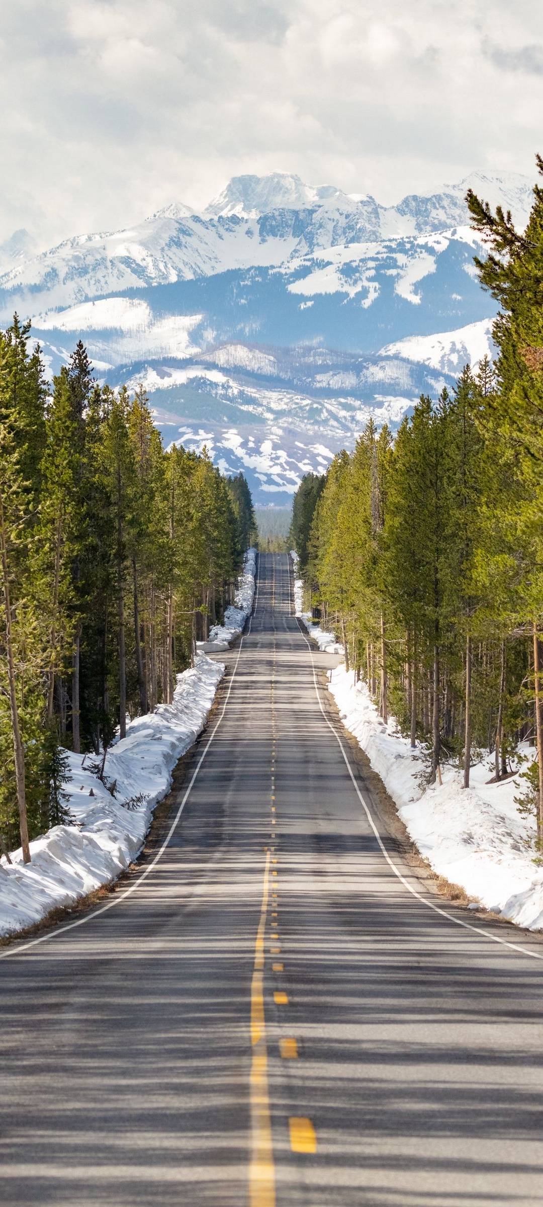 Winter Road Trees Wallpaper