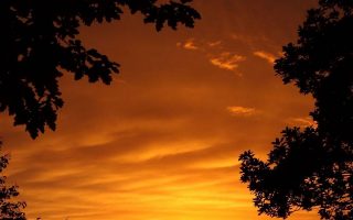 Yellow Sky Sunset Wallpaper