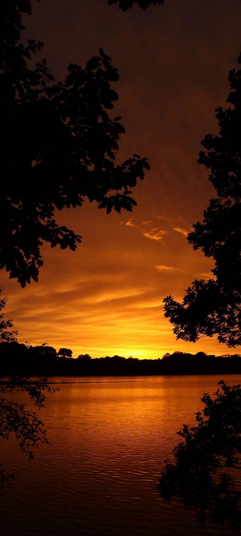 Yellow Sky Sunset Wallpaper