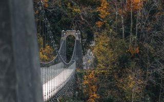 bridge near trees during daytime iphone wallpape