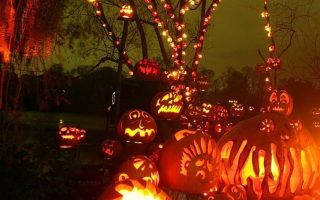 halloween holiday pumpkin night fire trees 1
