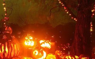 halloween holiday pumpkin night fire trees 2
