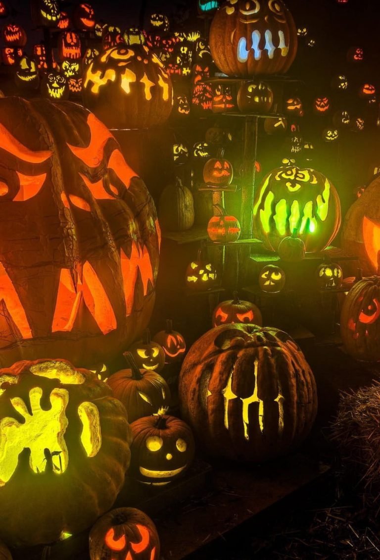halloween wallapers happy poumkin kindel