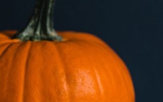 pumpkin decoration grow fall food still life aerial agriculture
