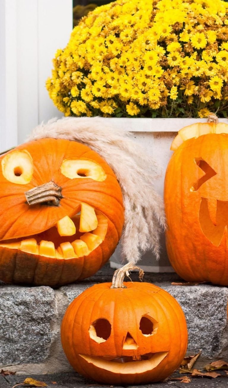 pumpkin decoration halloween wallpaper