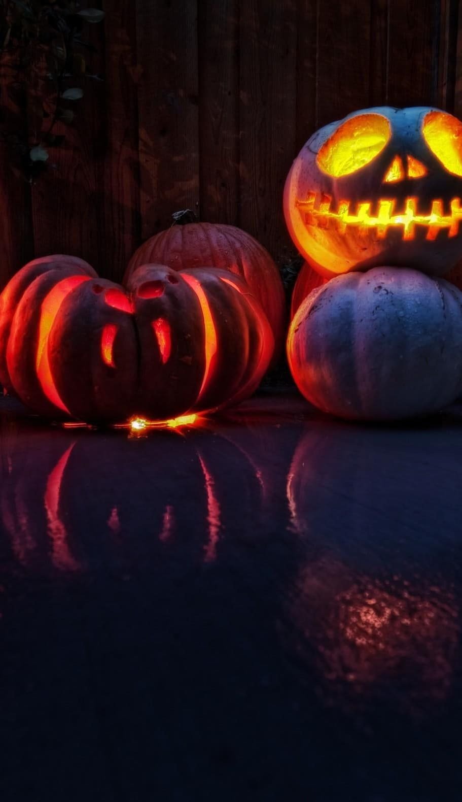 pumpkin halloween wall