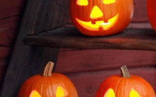 pumpkin light halloween pumpkin lantern night