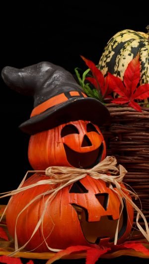 pumpkin on brown basket beside autumn black scaled