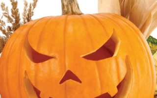 pumpkin wallpapers halloween blanc background