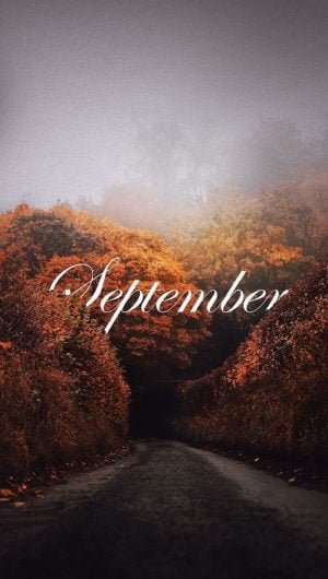 september written with white cursive font in the middle cute fall wallpaper iphone pathway between tall trees with orange yellow leaves