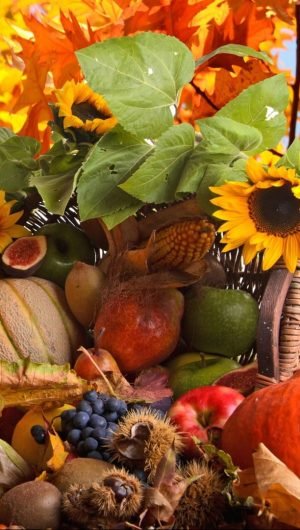 table near leaves basket and sunflowers fall wallpapers