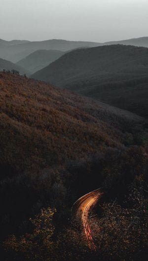 time lapse photography of road surrounded with tre iphone wallpaper