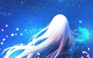 HD wallpaper female anime character anime girls white hair long hair sky
