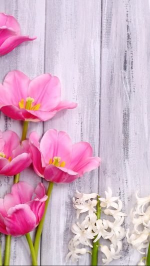 HD wallpaper flower bouquet tulip spring pink plant petal floral