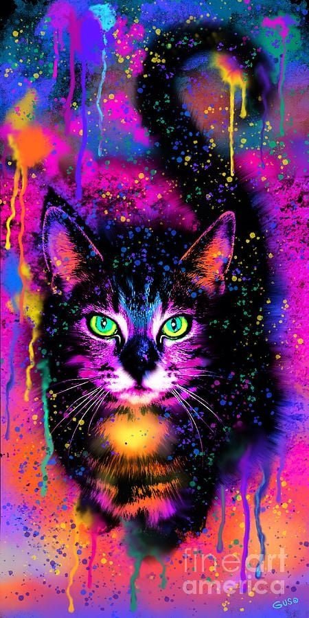 cat multi color art